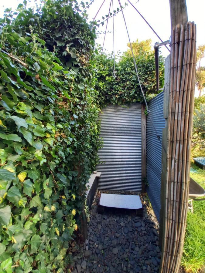Bed and Breakfast Birds Eyes Te Awanga Экстерьер фото